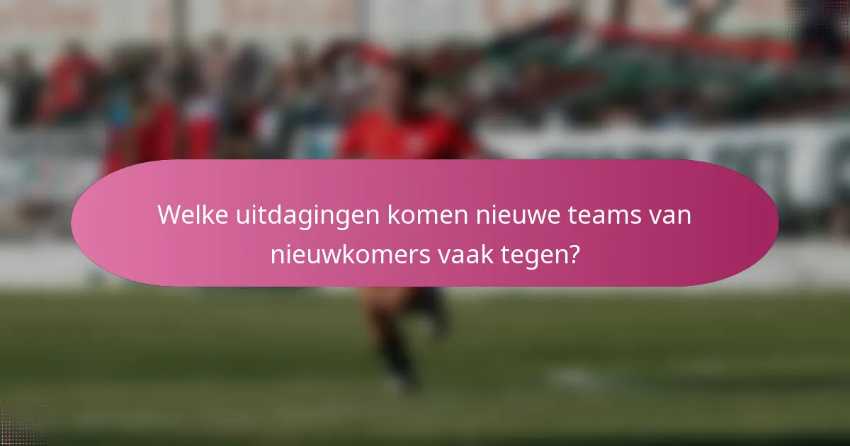 Welke uitdagingen komen nieuwe teams van nieuwkomers vaak tegen?